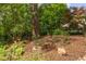 Well-manicured front yard with visible house number and mature landscaping at 800 E Forest Hills Blvd, Durham, NC 27707
