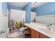 Bathroom featuring bright blue walls, a mirror, and a cactus-themed shower curtain at 825 Federal House Ave, Wake Forest, NC 27587