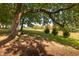 Lush backyard with a mature tree providing shade and a charming birdhouse, offering a tranquil outdoor space at 8709 Kimalden Ct, Wake Forest, NC 27587