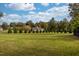 Expansive green backyard featuring a row of trees, perfect for outdoor activities and enjoying nature at 8709 Kimalden Ct, Wake Forest, NC 27587
