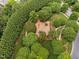 Community playground surrounded by lush greenery at 10516 Cokesbury Ln, Raleigh, NC 27614