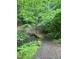 Charming footbridge on a trail surrounded by lush greenery, enhancing the natural beauty of the surroundings at 1115 Trailwood Dr, Raleigh, NC 27606