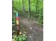 Picturesque walking trail surrounded by lush greenery, ideal for outdoor recreation and nature enthusiasts at 1115 Trailwood Dr, Raleigh, NC 27606