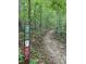Picturesque walking trail surrounded by lush greenery, ideal for outdoor recreation and nature enthusiasts at 1115 Trailwood Dr, Raleigh, NC 27606