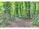 Leafy backyard with dense woods at 1702 Falls Church Rd, Raleigh, NC 27609