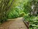 Picturesque walkway through lush greenery, creating a serene approach to the home at 173 Clancy Cir, Cary, NC 27511