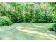 Picturesque backyard showcasing a lush lawn and privacy provided by mature trees at 2619 Steel Bridge Rd, Sanford, NC 27330