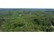 A broad aerial perspective shows the extensive wooded area, interrupted only by a few serene lakes at 8021 Bud Morris Rd, Wake Forest, NC 27587