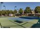 Well-maintained tennis court with professional surfacing, lighting, and surrounding greenery in a residential area at 102 Westside Dr, Chapel Hill, NC 27516