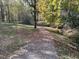 Leaf-strewn walking path through a wooded area, ideal for nature walks and recreation at 113 Spring Cove Dr, Cary, NC 27511