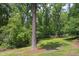 Green backyard with shady trees and mulch at 1604 Pinecrest Rd, Durham, NC 27705
