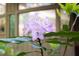 A close-up featuring a flowering plant showcasing the natural beauty surrounding the property at 1604 Pinecrest Rd, Durham, NC 27705