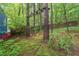 Private backyard with mature trees and undergrowth, complete with a rustic tree swing at 2525 Buxton Ct, Chapel Hill, NC 27514