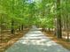 Long driveway surrounded by lush greenery and mature trees offering privacy and a serene setting at 2721 Silver Stirrup Ln, Apex, NC 27502