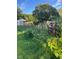 Vibrant backyard vegetable garden, featuring a variety of plants and a small storage shed at 3627 Nc 57, Hillsborough, NC 27278