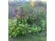 Established garden with grape vines and various colorful flowers thriving in raised beds at 3627 Nc 57, Hillsborough, NC 27278