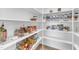 Well-organized pantry with ample shelving and clear containers, ideal for easy storage and access at 508 White Oak Branch Ln, Apex, NC 27523