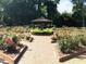 Tranquil rose garden featuring a gazebo and brick pathways for a serene escape at 7 Shepherd Ln # Bldg D, Chapel Hill, NC 27514