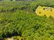 An aerial view of a lush, tree-filled property, featuring a long driveway and sprawling green lawn at 815 Solitude Pt, Chapel Hill, NC 27516
