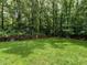 A large backyard with a wooden fence and plenty of trees, offering privacy and a natural setting at 104 Deer Park Ln, Cary, NC 27518