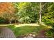 A scenic view of the backyard with mature trees, green grass, and a serene wooded setting at 10405 Veasey Mill Rd, Raleigh, NC 27615