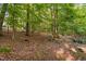 A wooded backyard featuring a natural walking trail, mature trees, and a serene natural setting at 10405 Veasey Mill Rd, Raleigh, NC 27615