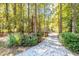 View of a long gravel driveway leading to a cozy home surrounded by lush trees at 10816 Bent Branch Dr, Raleigh, NC 27603