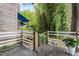 Cozy back porch with wooden railings, lush greenery, and a view of bamboo plants at 130 E Longview St # Apt S, Chapel Hill, NC 27516