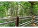 Balcony view shows a tranquil bamboo forest surrounding the area at 130 E Longview St # Apt S, Chapel Hill, NC 27516