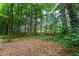 Picturesque view of wooded backyard with mature trees and natural landscape at 1703 Berwickshire Cir, Raleigh, NC 27615