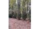 Landscaped backyard with mature trees and evergreen shrubbery at 1703 Berwickshire Cir, Raleigh, NC 27615