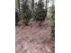 Landscaped backyard with mature trees and evergreen shrubbery at 1703 Berwickshire Cir, Raleigh, NC 27615