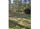 Spacious front yard with large trees and lush lawn at 2122 Sterling Creek Ln, Franklinton, NC 27525