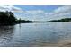 Beautiful lake view showcasing calm waters, mature trees and community amenities for residents at 280 Sagamore Dr, Louisburg, NC 27549