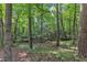 Lush wooded backyard offering privacy and a natural setting at 309 Penn Oak Cir, Raleigh, NC 27615