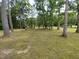 Expansive treed backyard at 623 Glenwood Dr, Sanford, NC 27330