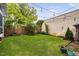 Lush backyard with string lights, privacy fence and vibrant green lawn, perfect for outdoor entertaining at 711 Hinsdale St, Raleigh, NC 27605
