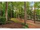 Large treelined backyard creating a serene and private outdoor space with mature trees and natural landscaping at 7808 Umstead Forest Dr, Raleigh, NC 27612