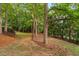 Large treelined backyard creating a serene and private outdoor space with mature trees and natural landscaping at 7808 Umstead Forest Dr, Raleigh, NC 27612