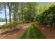 Lush backyard with mature trees and scenic path to the waterfront at 1009 Bearglades Ln, Raleigh, NC 27615