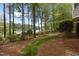 Scenic backyard with lush greenery and mature trees, leading to a tranquil waterfront view at 1009 Bearglades Ln, Raleigh, NC 27615