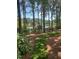 Picturesque lakefront setting with lush greenery, providing a tranquil and scenic backdrop at 1009 Bearglades Ln, Raleigh, NC 27615