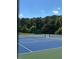 Well maintained community tennis court with lush green surroundings at 1009 Bearglades Ln, Raleigh, NC 27615