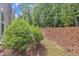 A lovely backyard with mature trees at the back and green bushes at 1022 Flagler St, Durham, NC 27713