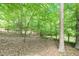 Mature trees cover the backyard of this wooded property at 103 Harrington Pt, Chapel Hill, NC 27516