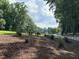 Scenic view of the golf course with lush greenery and mature trees on a bright day at 107 Ivy Hollow Ct, Morrisville, NC 27560