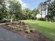 Lush greenspace featuring mature trees and manicured landscaping creating a serene environment at 107 Ivy Hollow Ct, Morrisville, NC 27560