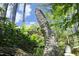 Creative stone dragon sculpture amidst lush foliage and landscaping, offering a unique and captivating view at 107 Silo Dr, Chapel Hill, NC 27514