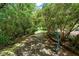 Scenic community walking trail surrounded by trees and greenery at 122 Swansboro Ln, Chapel Hill, NC 27516