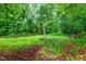 Secluded backyard space featuring a grassy area and mature trees, offering a peaceful retreat at 210 Dutchess Dr, Cary, NC 27513